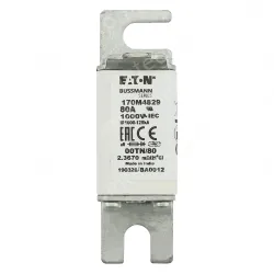 Eaton 170M4829