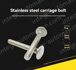 Big head carriage bolt M10*200
