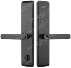 Smart door lock A81