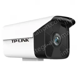 5 million pixel barrel intelligent humanoid starlight network camera
