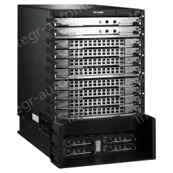 Multi-service intelligent routing switches