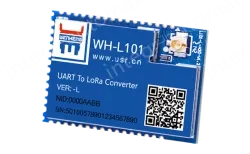 LoRa module