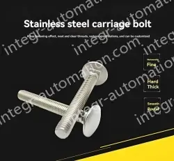 Big head carriage bolt M12*160