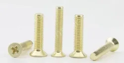 Golden Flat Head Screws M3*90