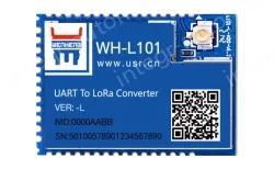 LoRa module