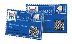 LoRa module